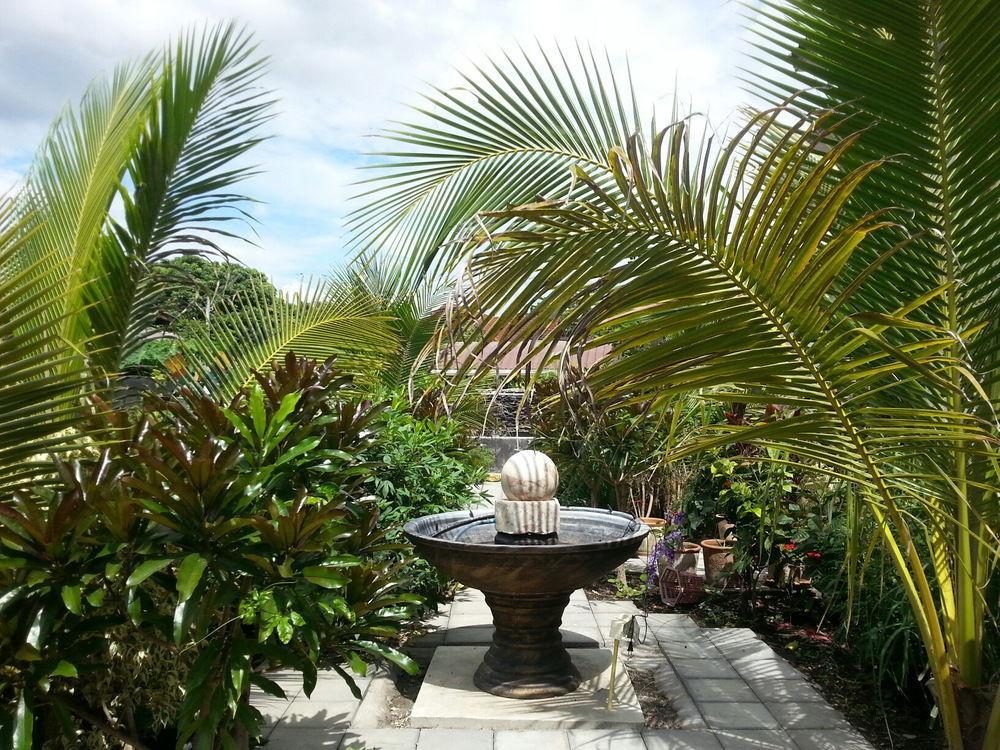 Donchai House Guest House& Cafe Chiang Mai Buitenkant foto